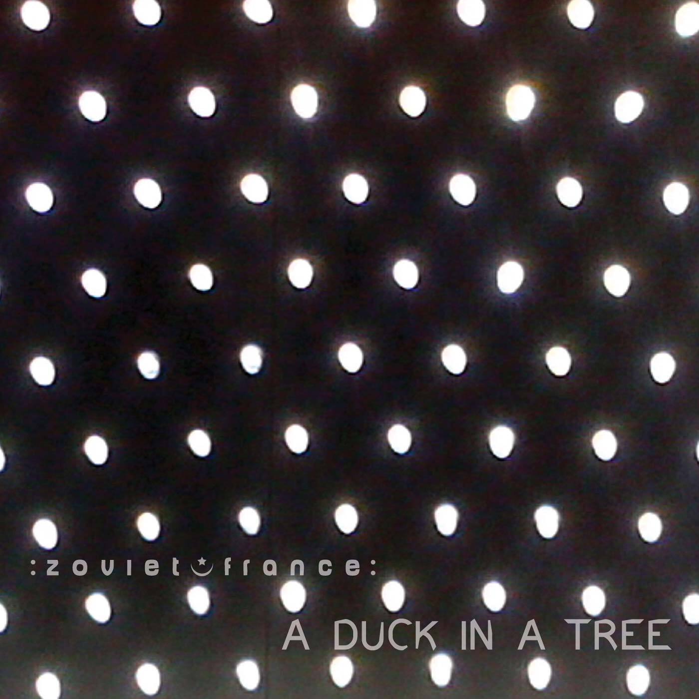 A-Duck-in-a-Tree-2014-05-10-_-A-Broken-S