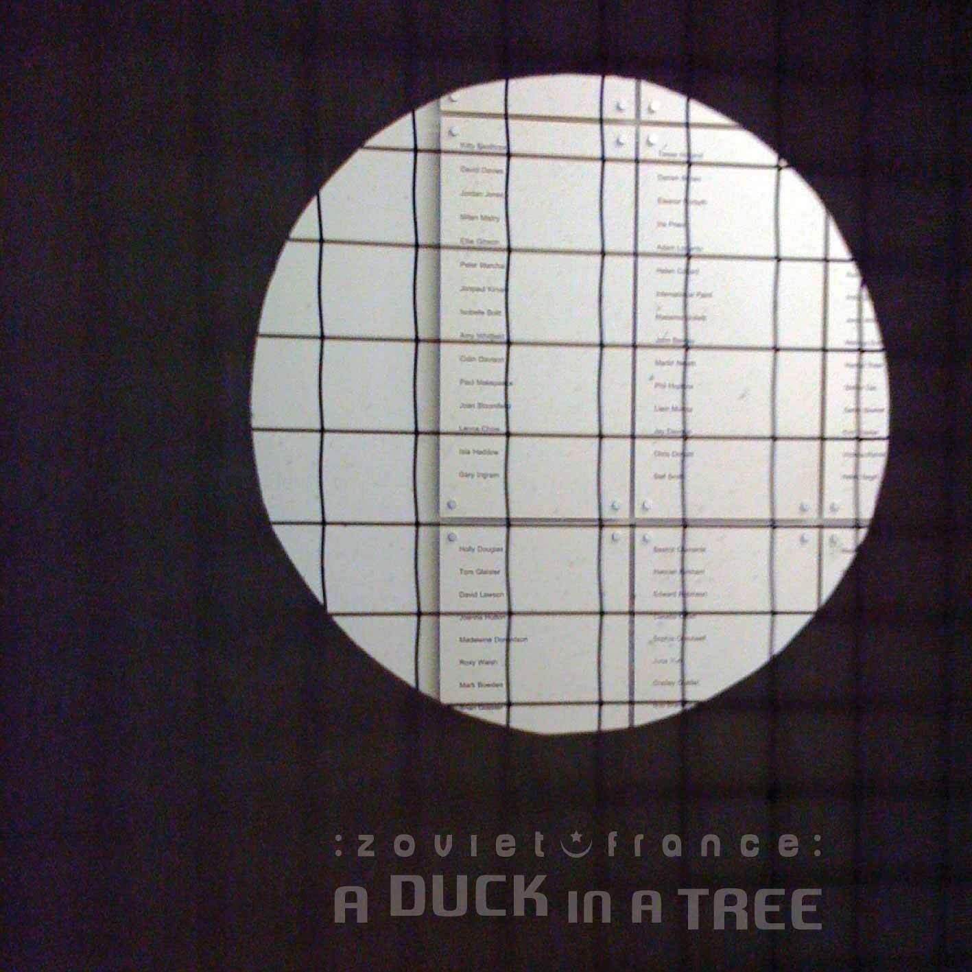 A-Duck-in-a-Tree-2014-12-27-_-A-Bit-of-a