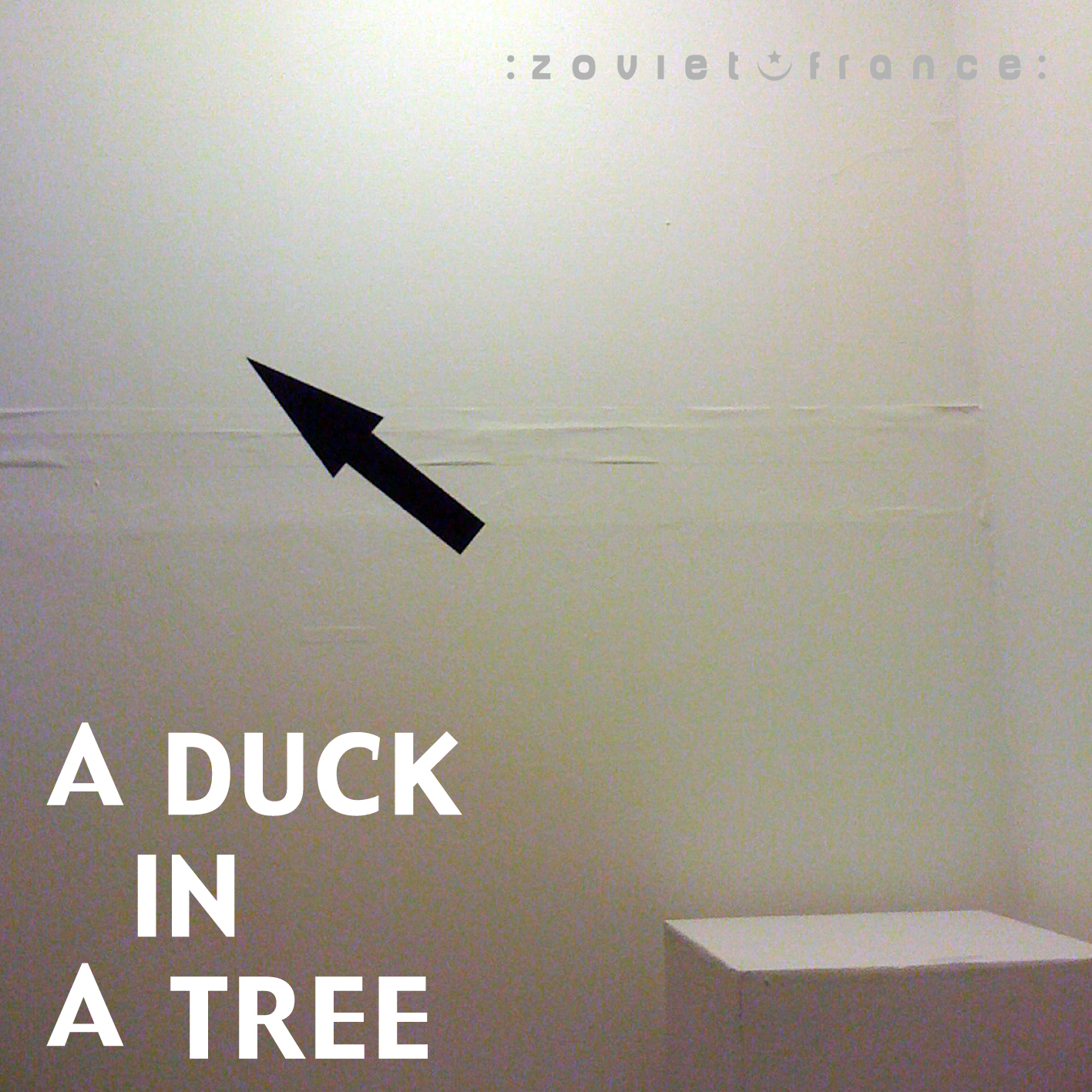 A-Duck-in-a-Tree-2012-11-17-_-Sightings-from-a-Blind-Summit-layout.jpg