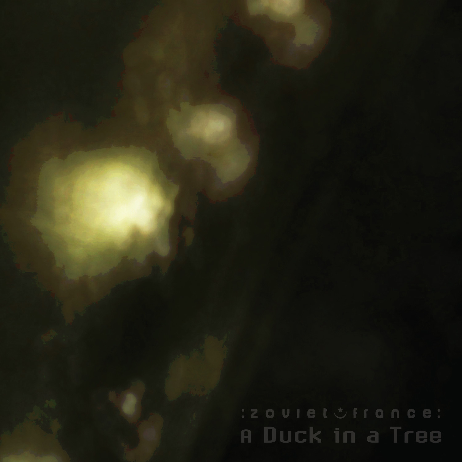 A-Duck-in-a-Tree-2018-12-15-_-The-Peak-Below-cover-1500.jpg