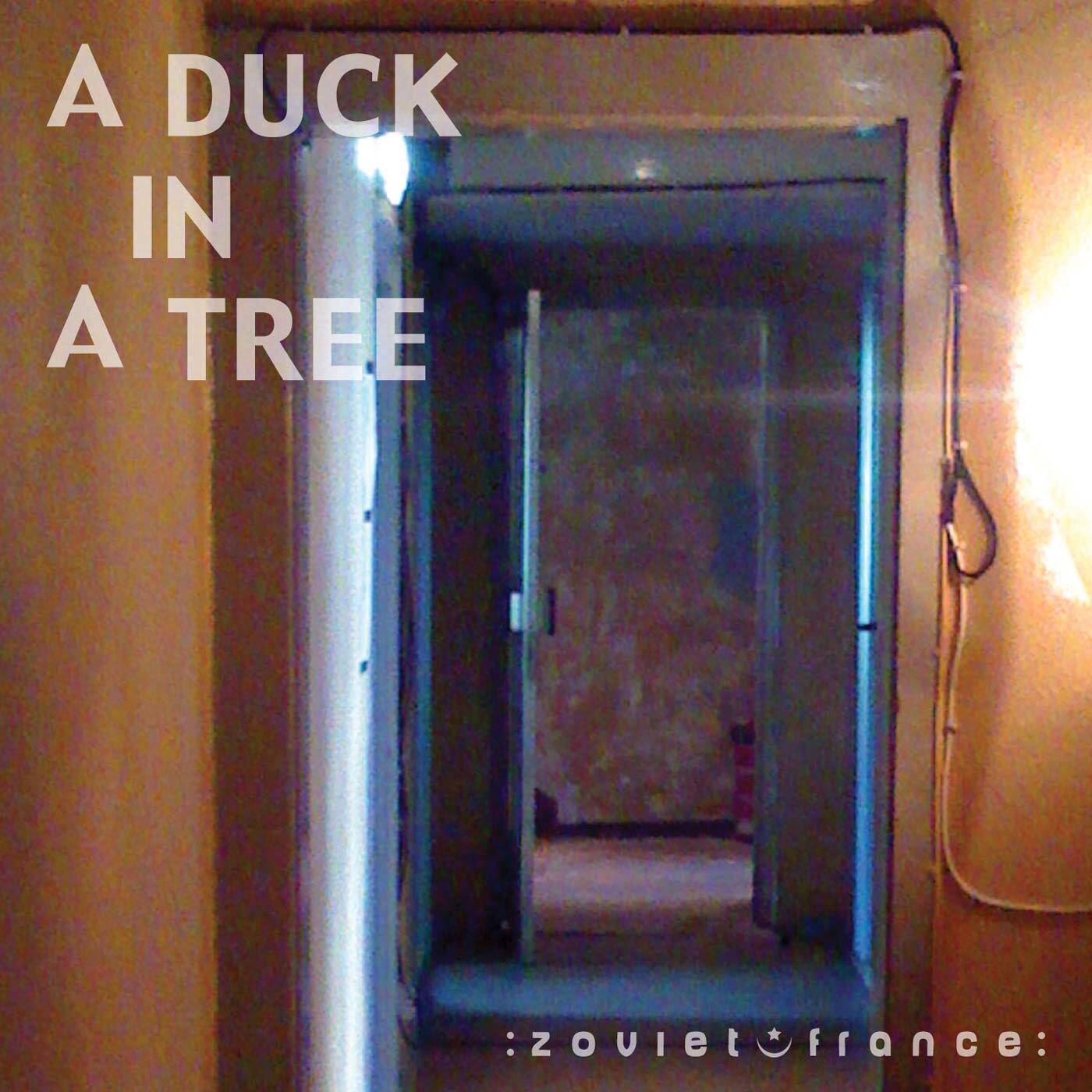 A-Duck-in-a-Tree-2013-05-04-_-If-Anyone-Knows-You-Know-layout-1400.jpg