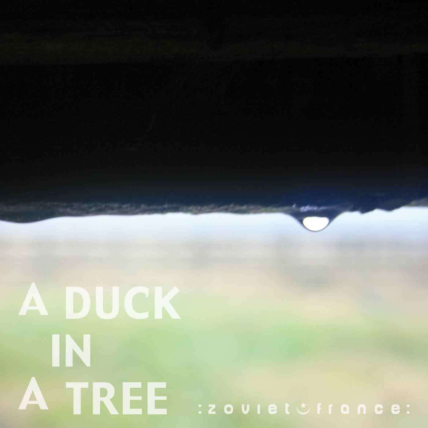 A-Duck-in-a-Tree-2013-05-25-_-Before-and-After-Silence-layout-1400.jpg