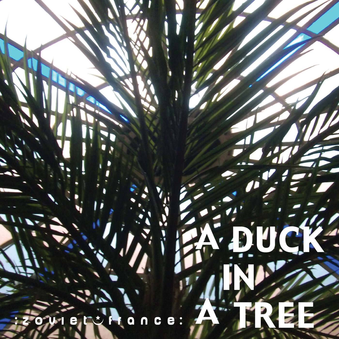 A-Duck-in-a-Tree-2013-02-09-_-Deep-Summer-Light-Deeper-at-Night-layout-1400.jpg