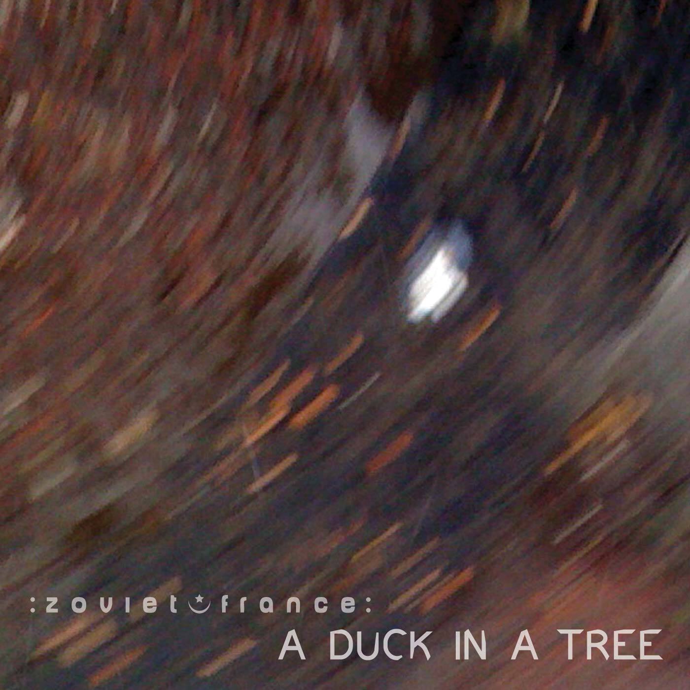 A-Duck-in-a-Tree-2014-05-24-_-Spring-Rev