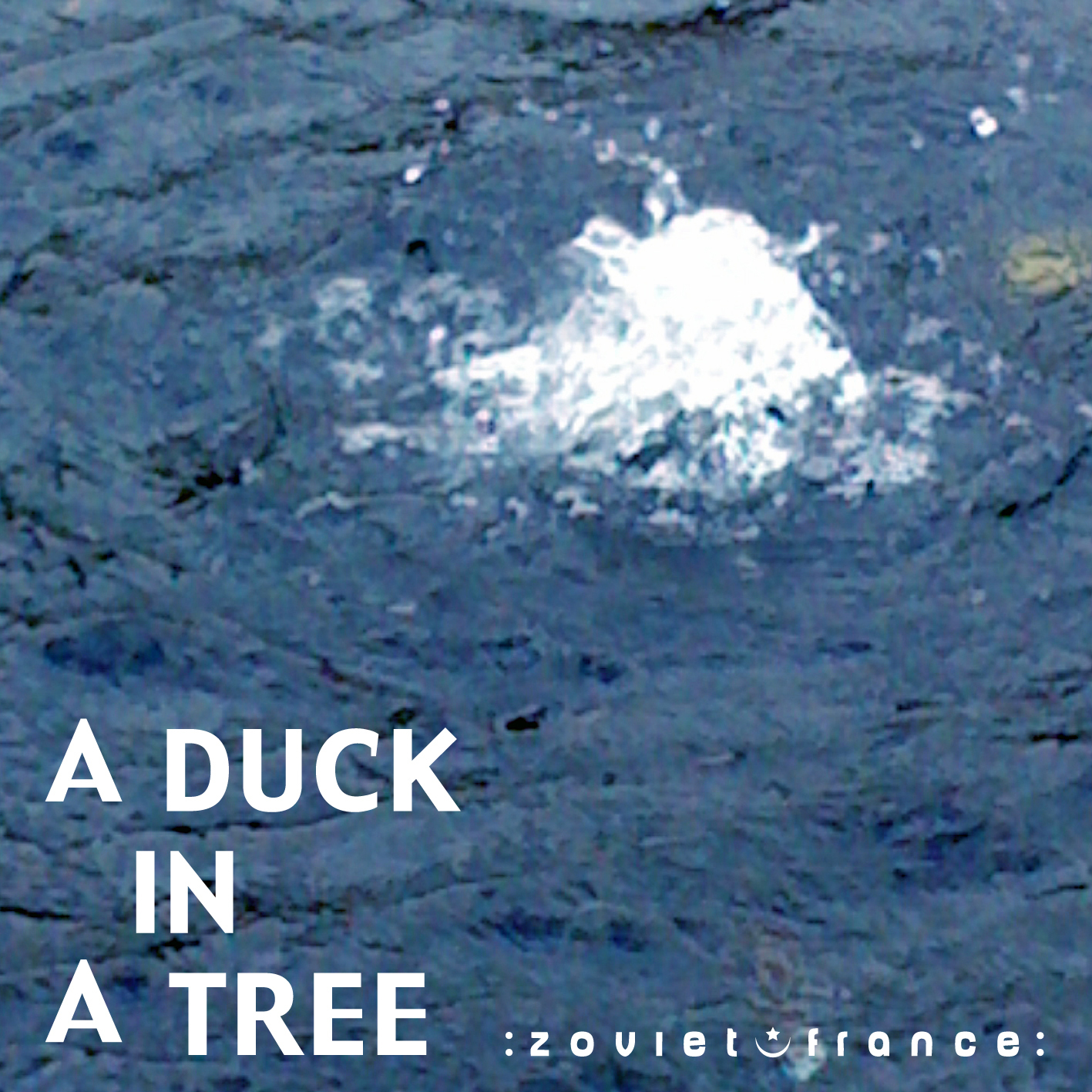 A-Duck-in-a-Tree-2012-10-20-_-Sustained-with-Silence-and-Water-layout.jpg