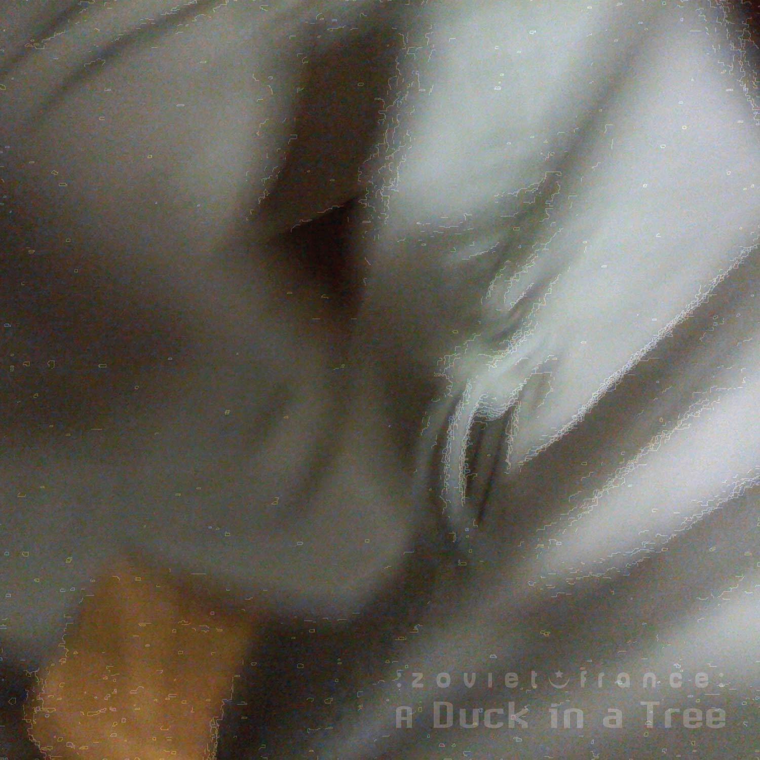 A-Duck-in-a-Tree-2019-05-11-_-Sphagnum-in-the-Magic-Room-cover-1500.jpg