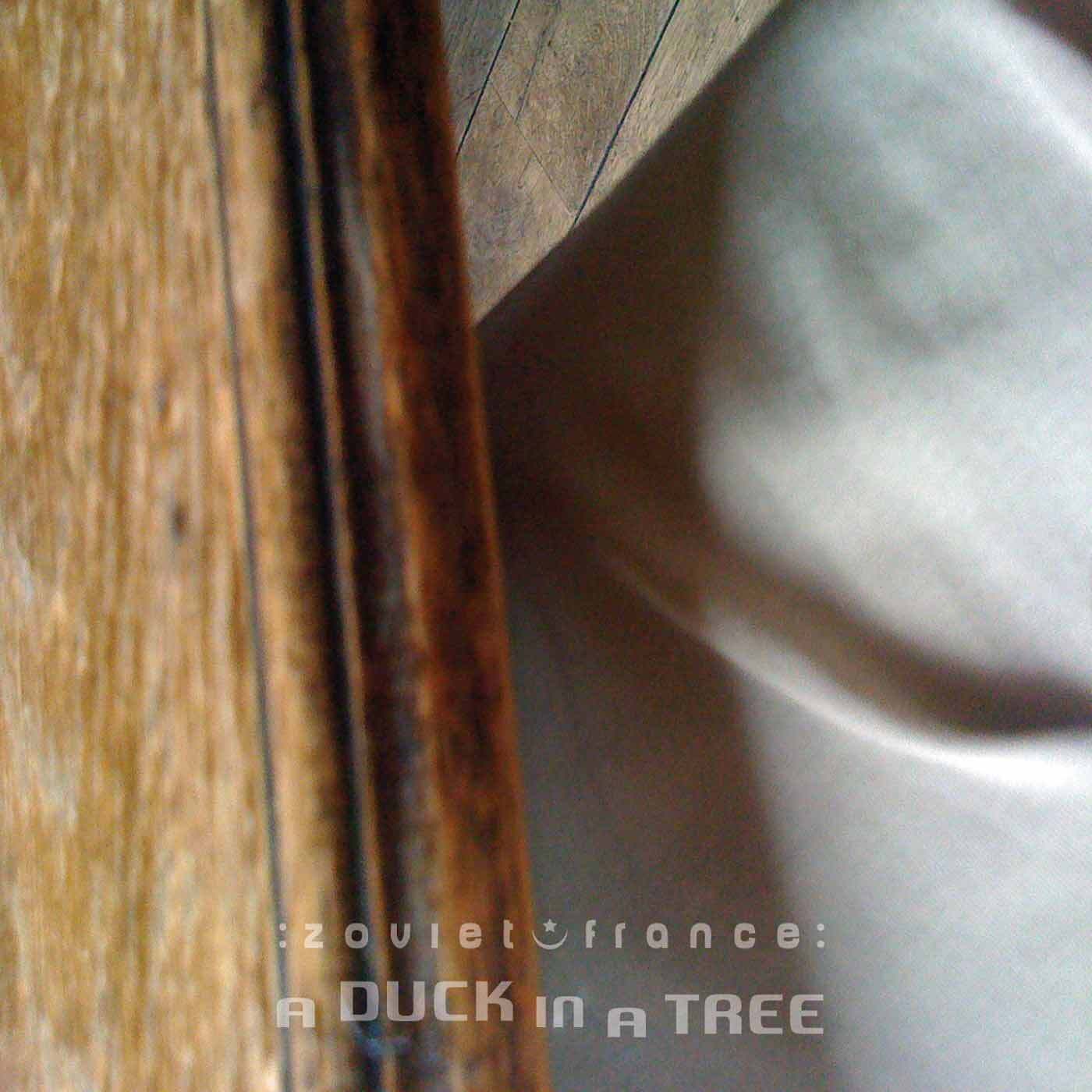A-Duck-in-a-Tree-2014-07-19-_-Within-the