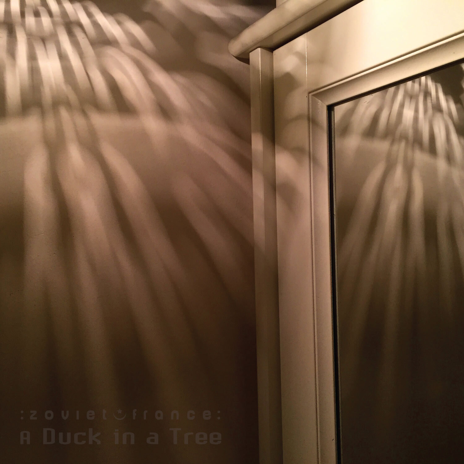 A-Duck-in-a-Tree-2019-03-02-_-Good-Night-Rain-cover-1500.jpg