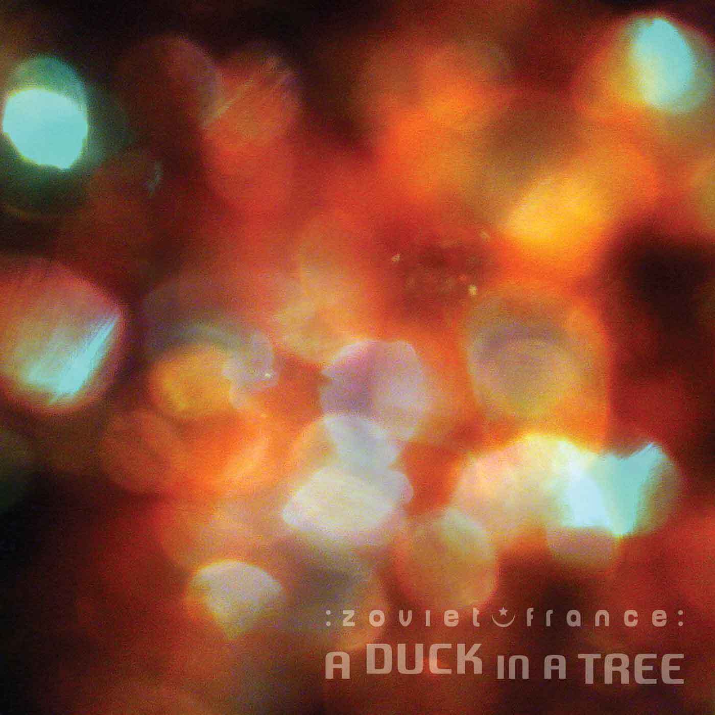 A-Duck-in-a-Tree-2014-11-29-_-About-the-