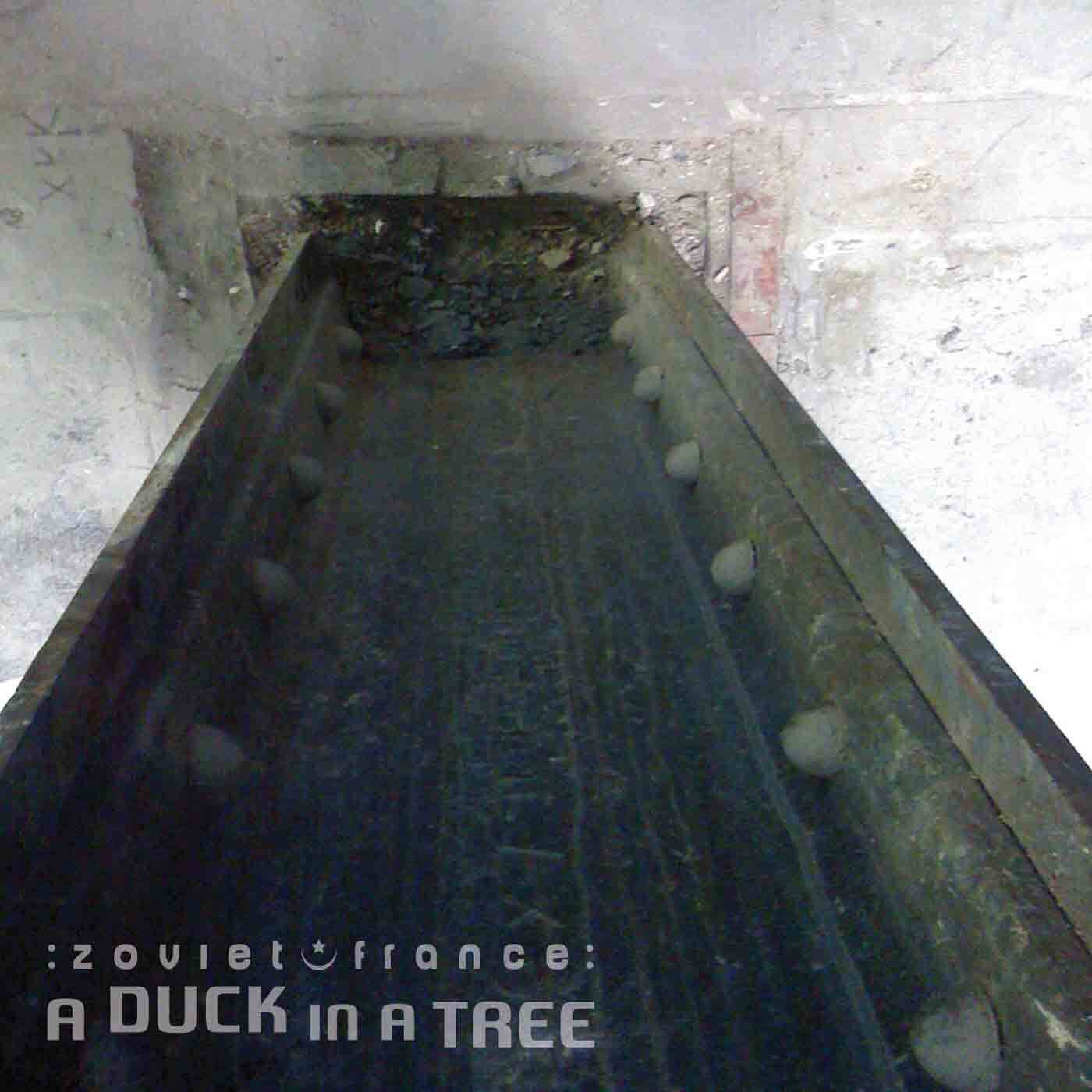 A-Duck-in-a-Tree-2014-09-27-_-Waist-High