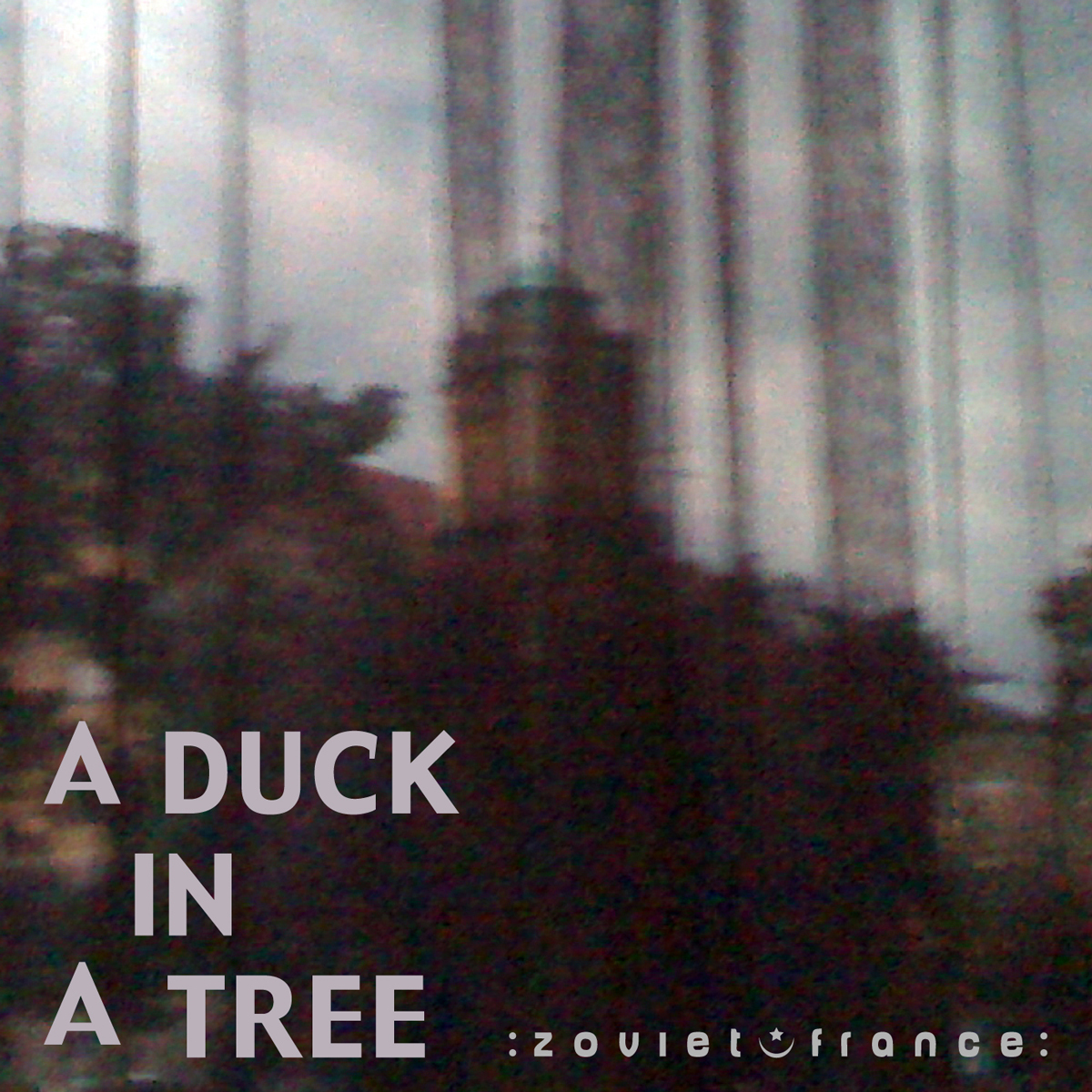 A-Duck-in-a-Tree-2012-09-15-_-Be-Guided-You-Will-Keep-an-Immortal-Recollection-layout-1200.jpg