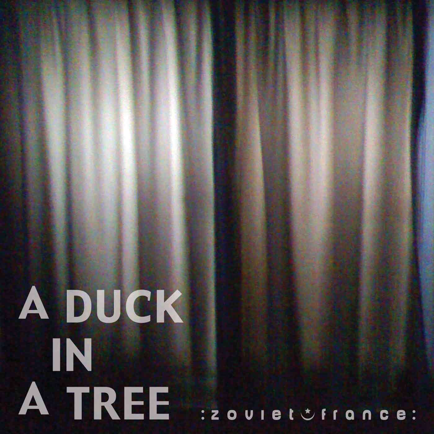 A-Duck-in-a-Tree-2013-05-11-_-Exposessed-layout-1400.jpg