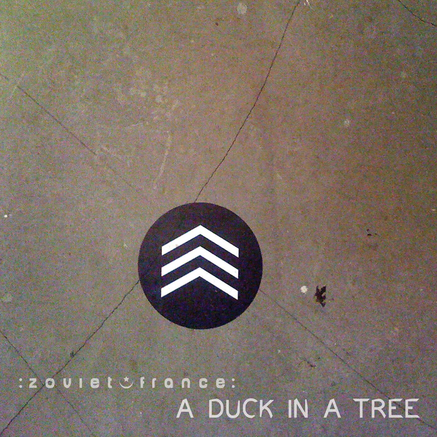 A-Duck-in-a-Tree-2014-05-17-_-Of-Time-Se