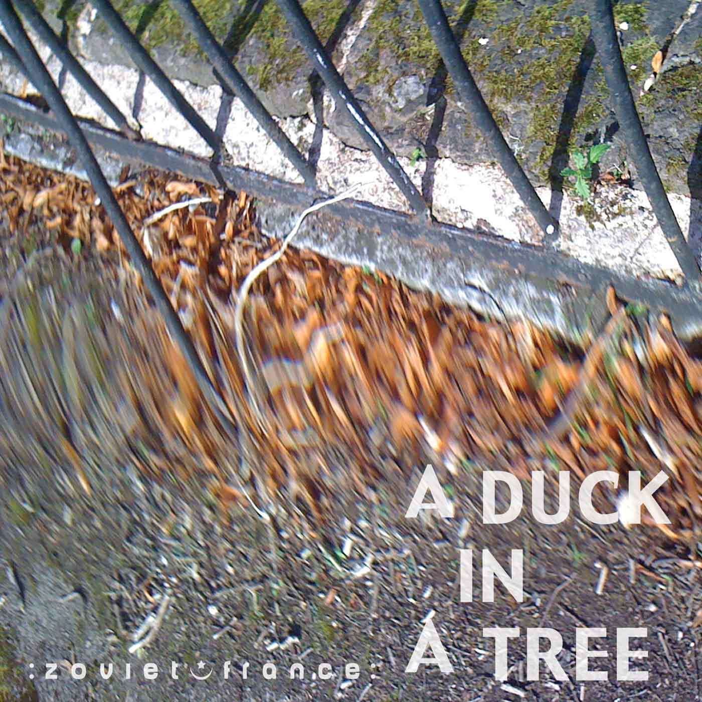 A-Duck-in-a-Tree-2013-06-01-_-A-Number-Past-a-Note-Past-a-Letter-layout-1400.jpg