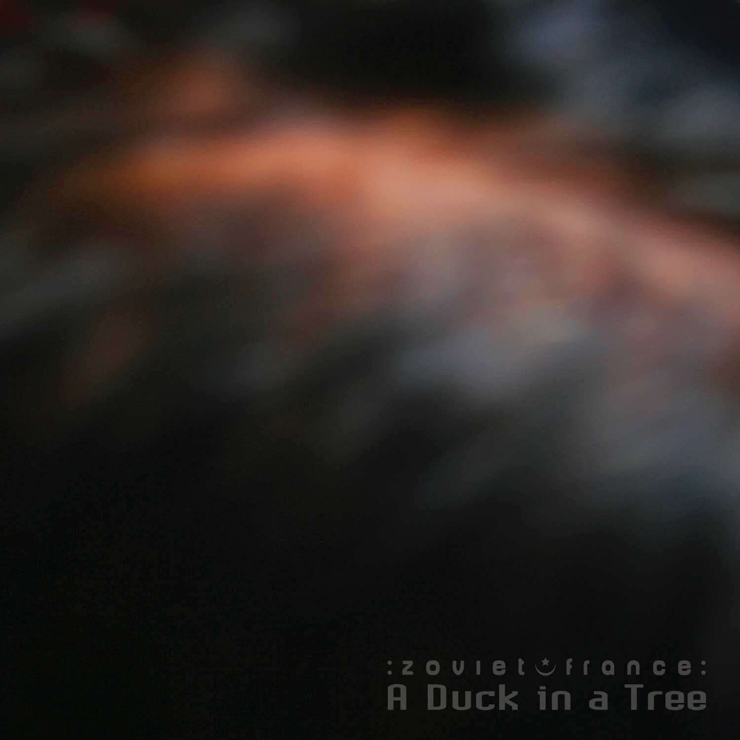 A-Duck-in-a-Tree-2018-08-04-_-Art-Art-Primera-Segunda-cover-1500.jpg