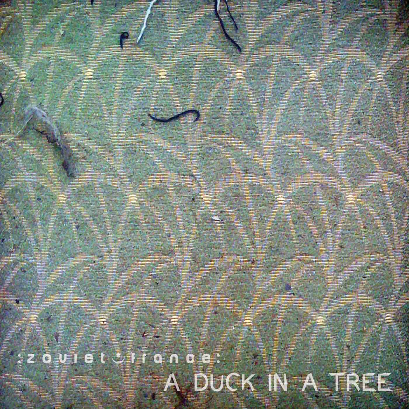 A-Duck-in-a-Tree-2014-05-31-_-Steel-Tide