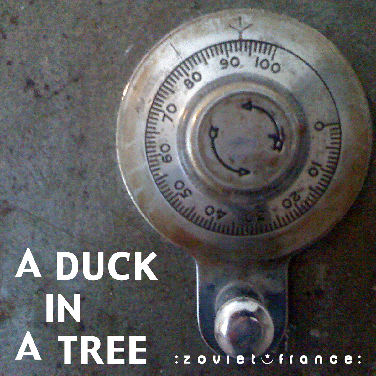A-Duck-in-a-Tree-2012-09-29-_-Divination-Through-the-Observation-of-Wheels-1200.jpg