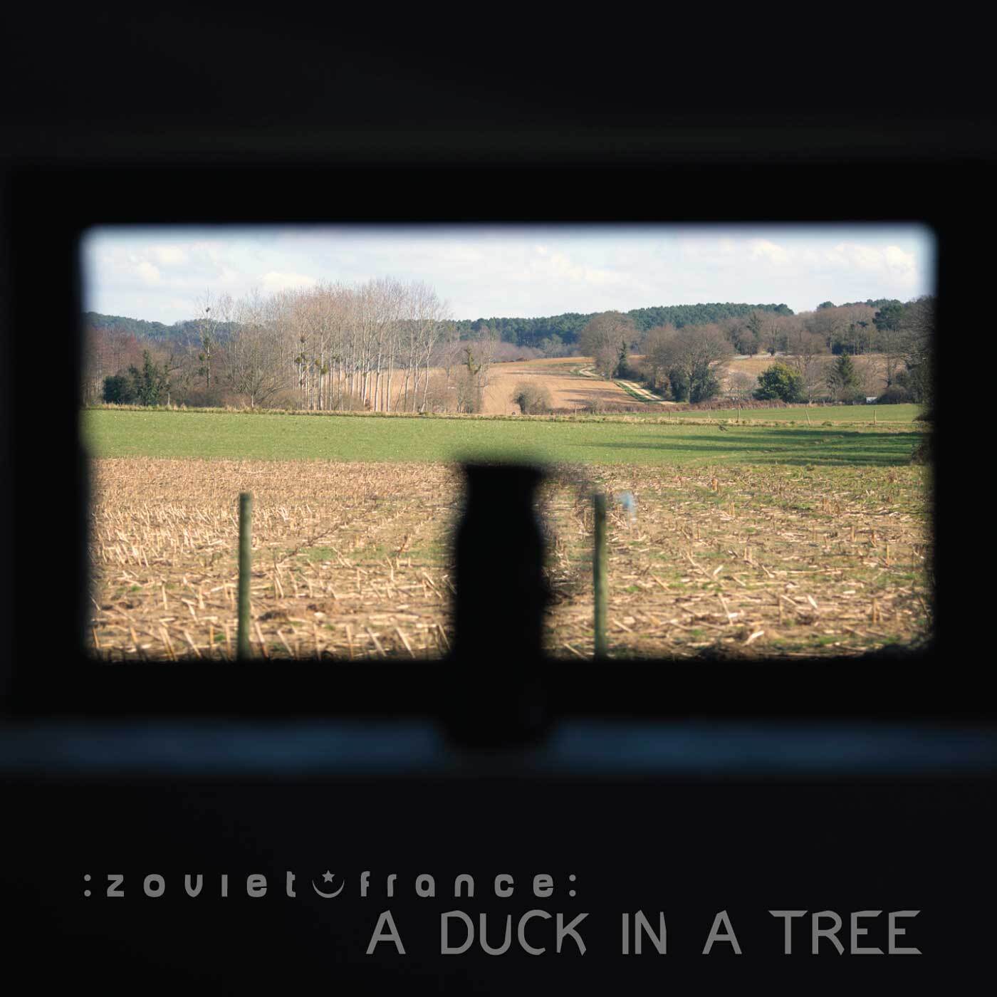 A-Duck-in-a-Tree-2014-07-05-_-Turn-Left-