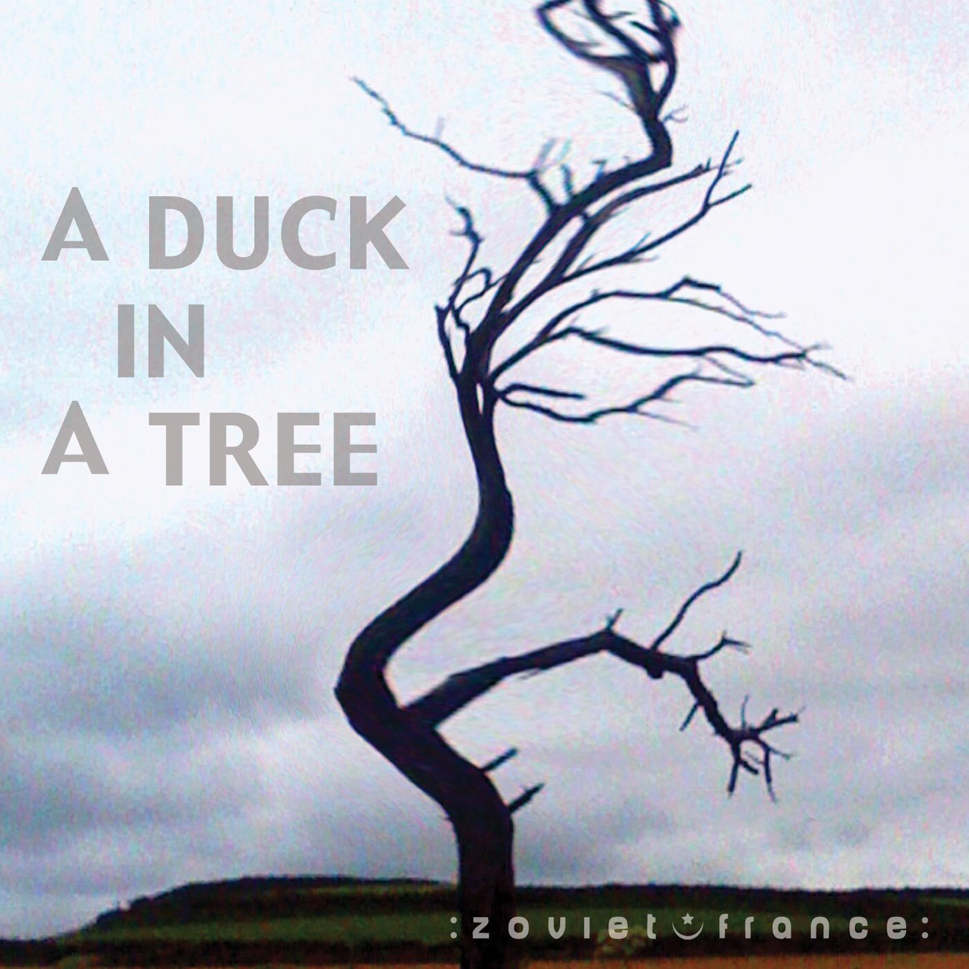 A-Duck-in-a-Tree-2013-03-23-_-Soluble-in-Granite-layout-1400.jpg