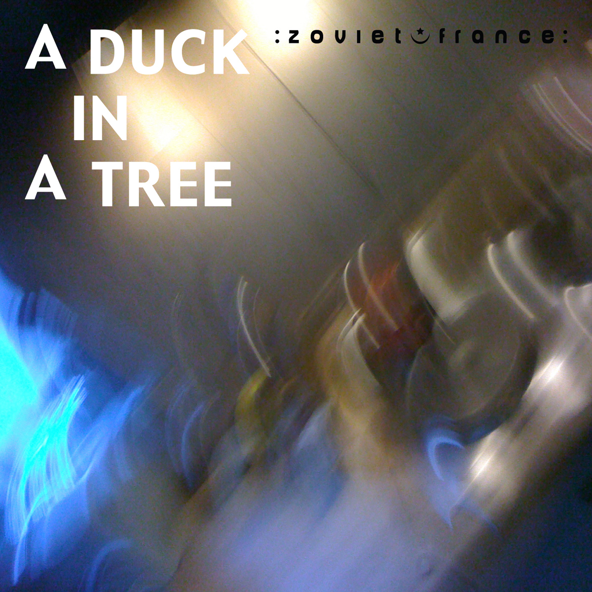 A-Duck-in-a-Tree-2012-12-08-_-Still-the-Surface-Captured-layout-1200.jpg