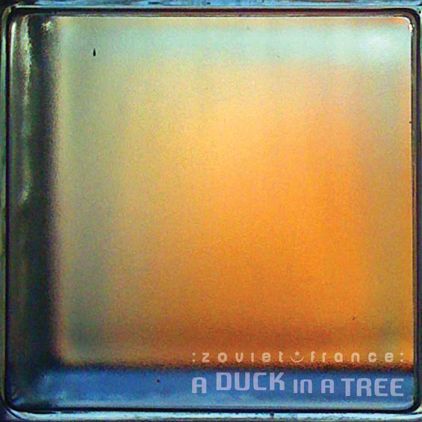 A-Duck-in-a-Tree-2014-12-06-_-Put-Anothe