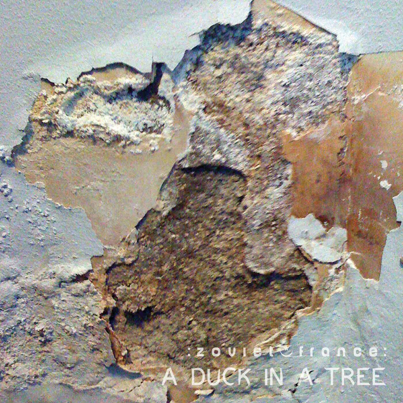 A-Duck-in-a-Tree-2014-06-21-_-The-Measur