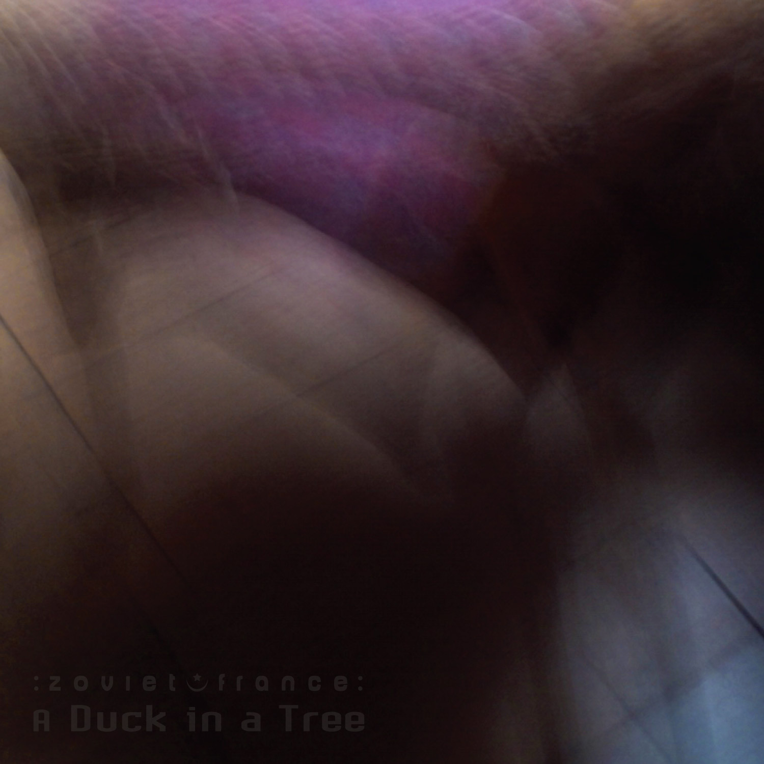 A-Duck-in-a-Tree-2019-03-09-_-A-Night-of-Fire-and-a-Day-of-Ashes-cover-1500.jpg