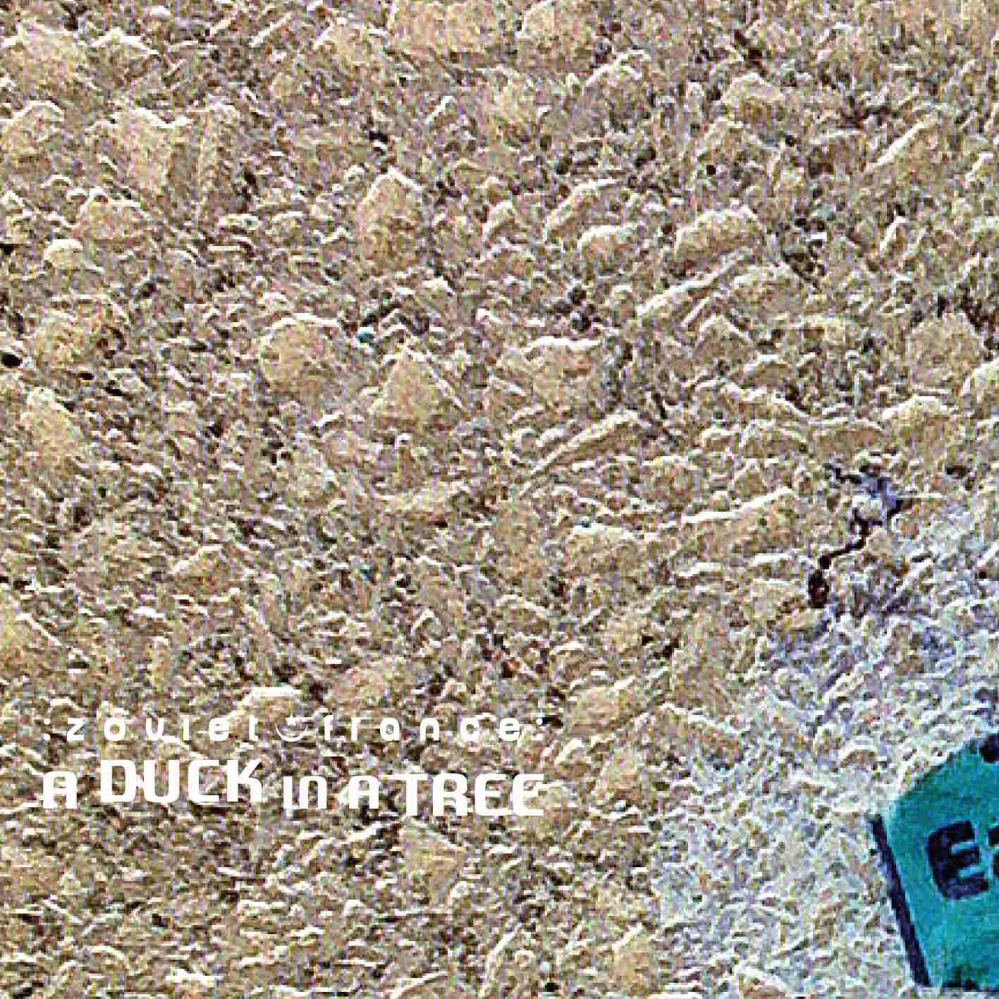 A-Duck-in-a-Tree-2015-01-17-_-Thirteen-F