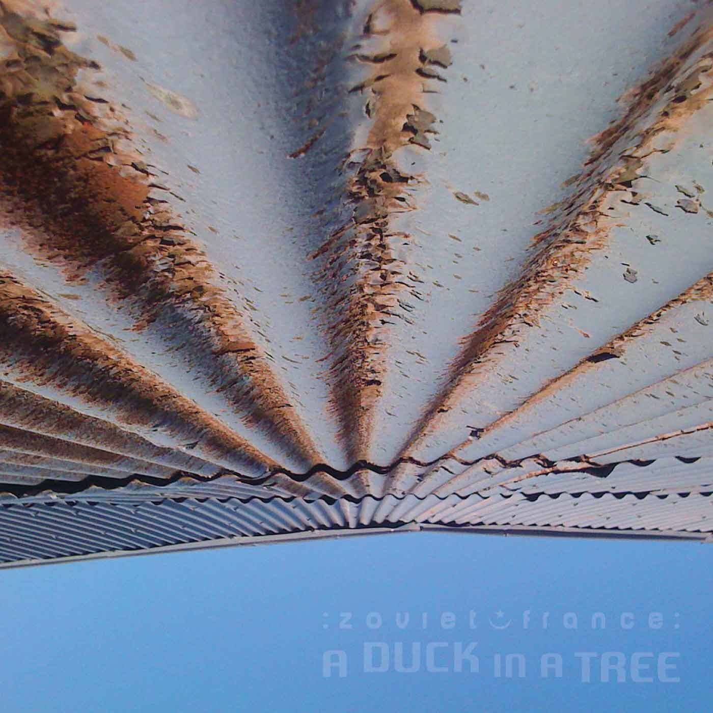 A-Duck-in-a-Tree-2015-02-14-_-The-Raisin