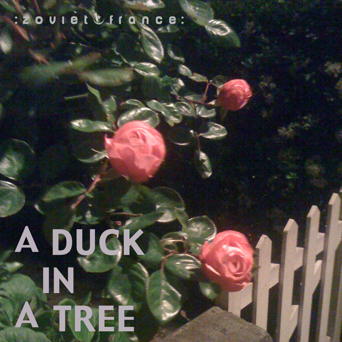 A-Duck-in-a-Tree-2012-09-02---A-Row-of-Tricks-layout-1200.jpg