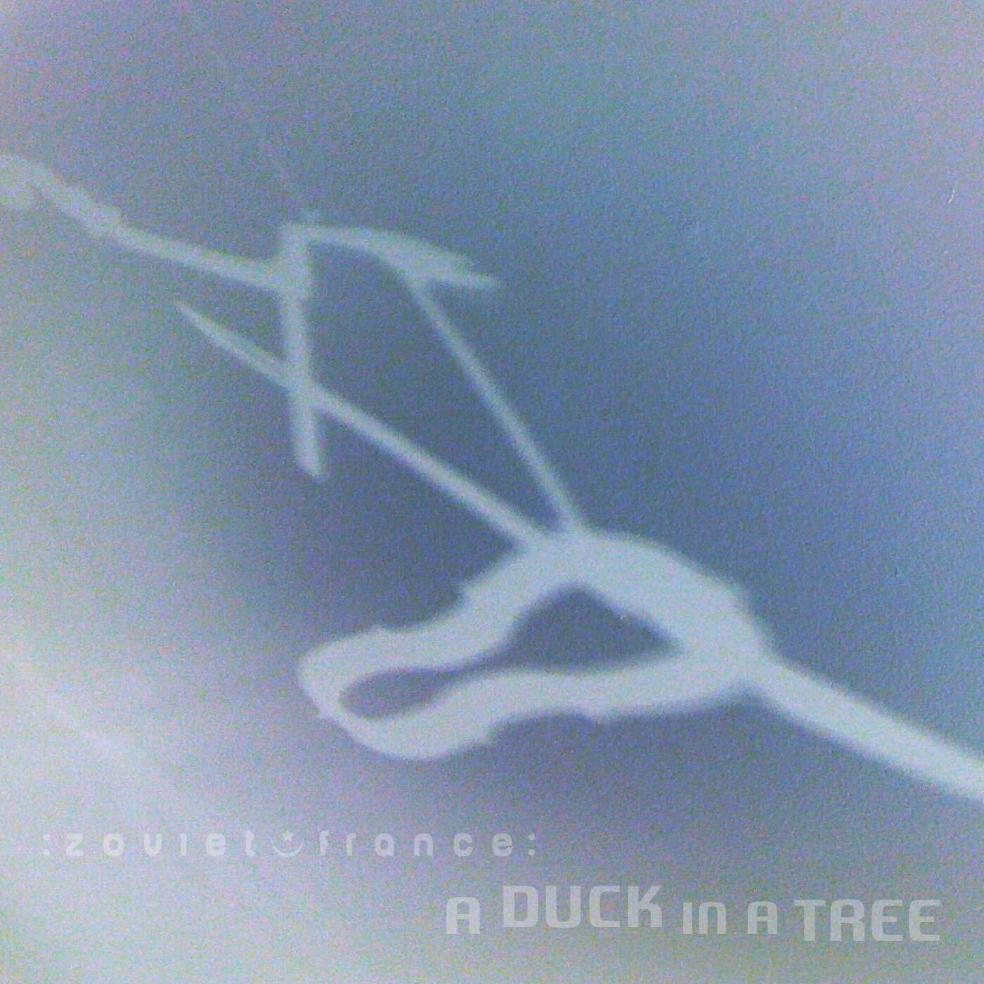 A-Duck-in-a-Tree-2015-05-16-_-Running-wi