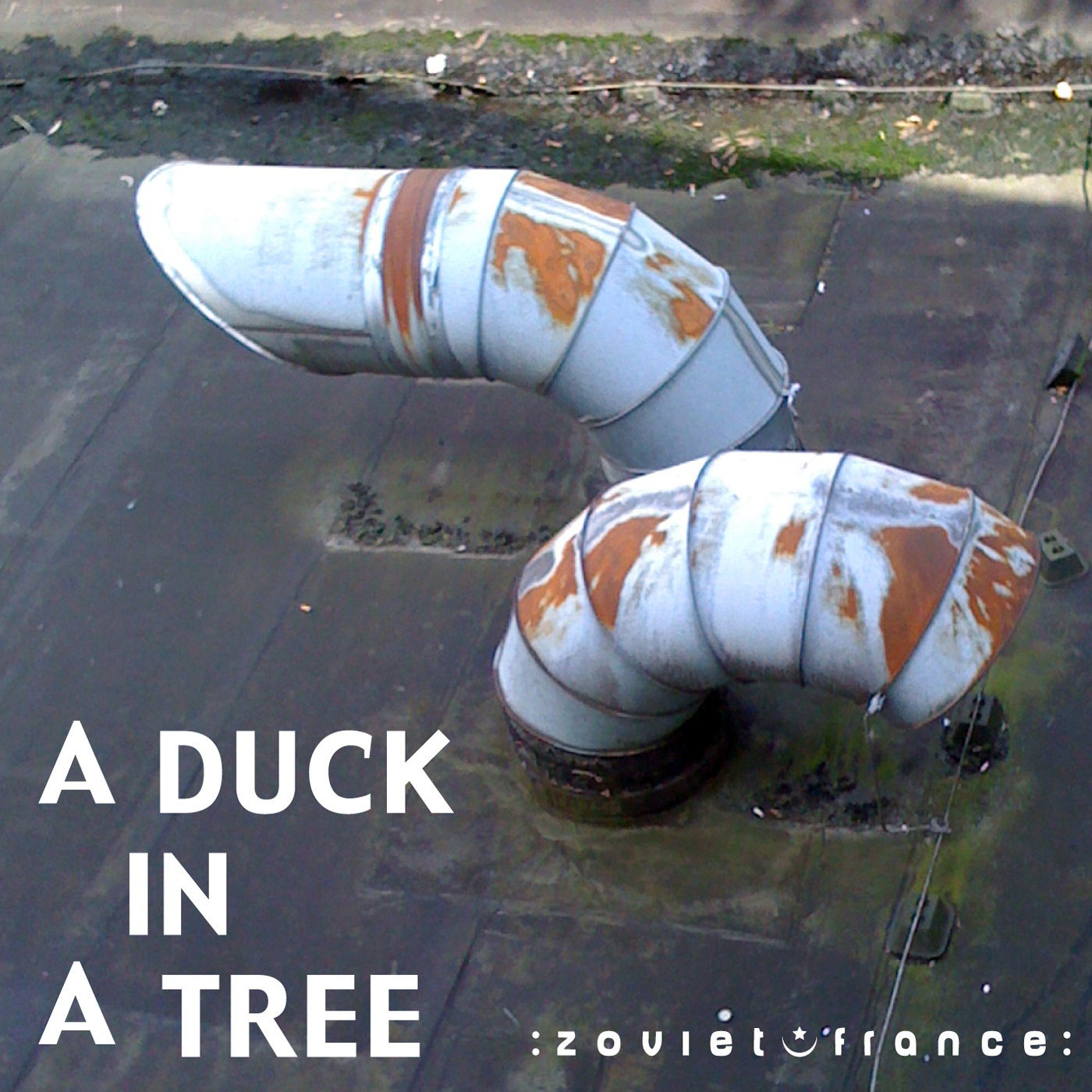 A-Duck-in-a-Tree-2012-08-11-_-Written-on-Seven-Leaves-with-a-Stalk-Dipped-in-Sap-_-layout-1400.jpg