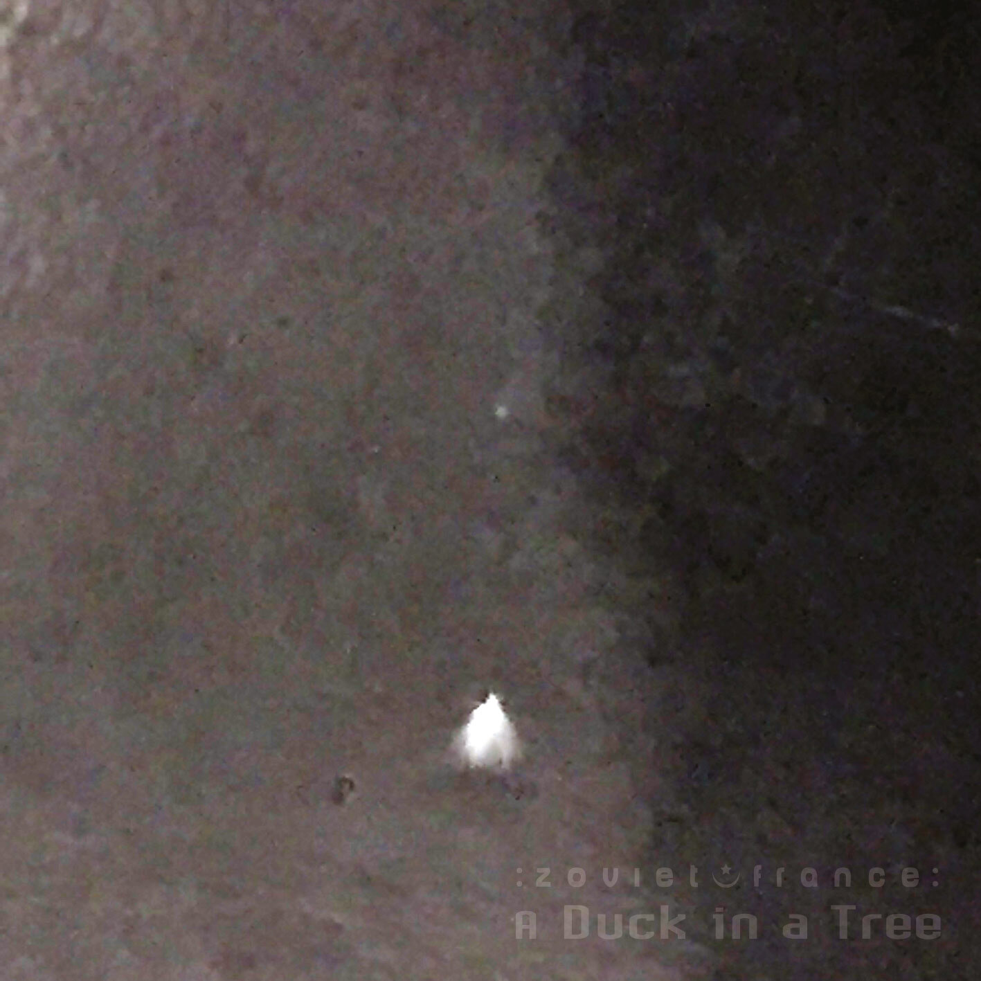 A-Duck-in-a-Tree-2019-07-13-_-Peak-Ending-cover-1500.jpg