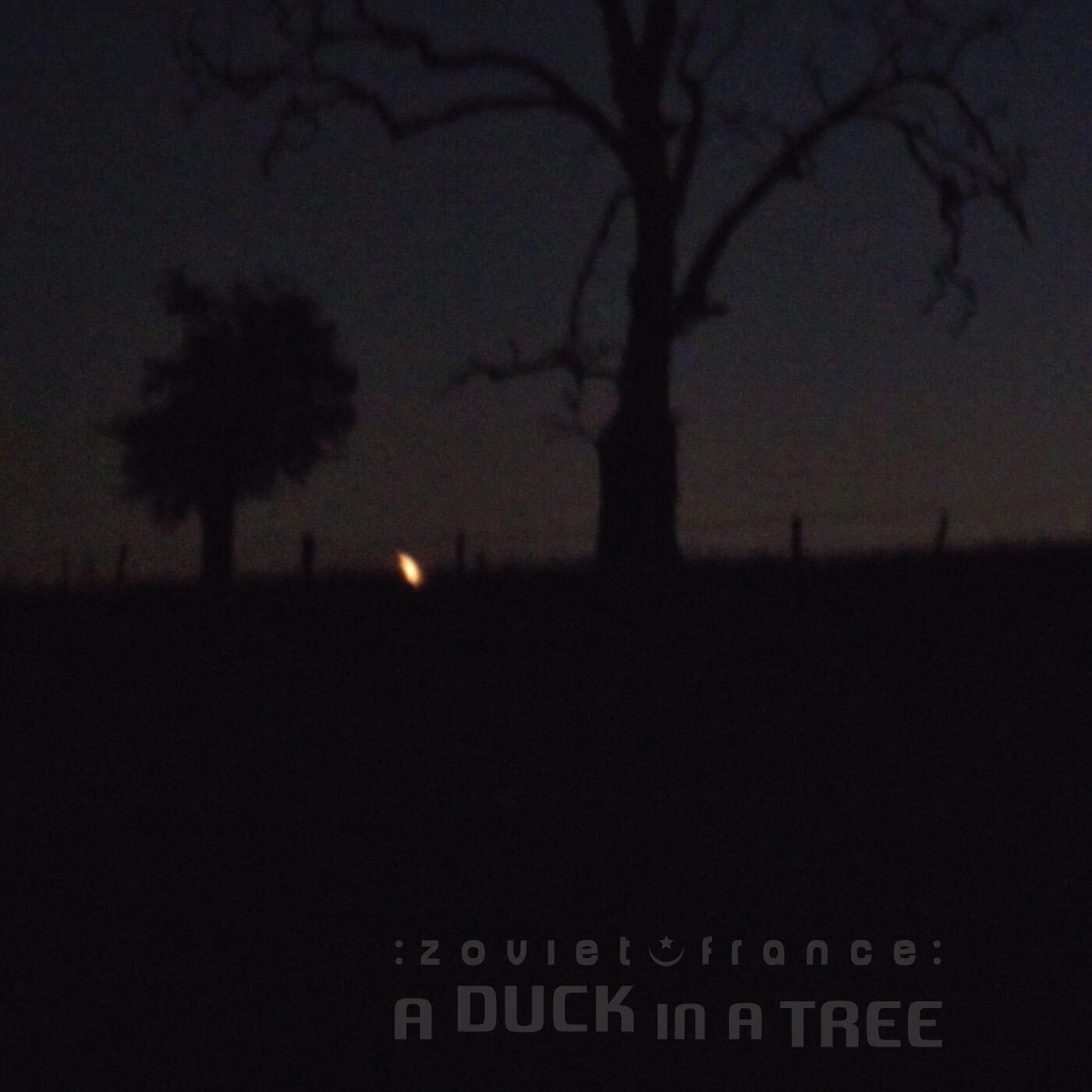 A-Duck-in-a-Tree-2015-03-28-_-The-Flame-
