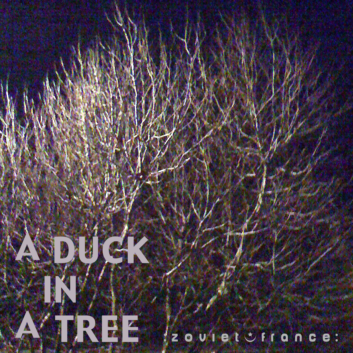 A-Duck-in-a-Tree-2013-01-05-_-Wait-Light-the-Falls-layout-1200.jpg