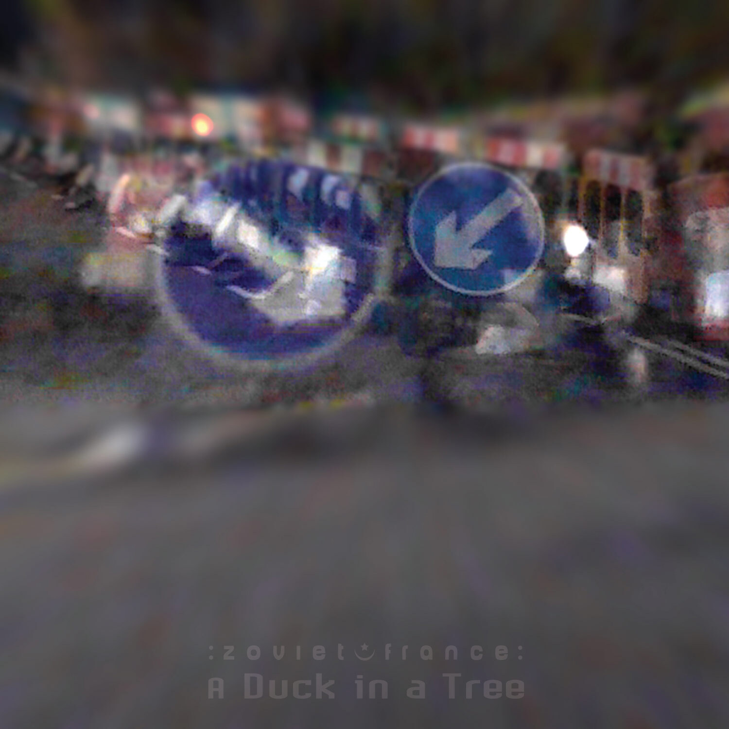 A-Duck-in-a-Tree-2018-09-01-_-Sensate-Surround-cover-1500.jpg