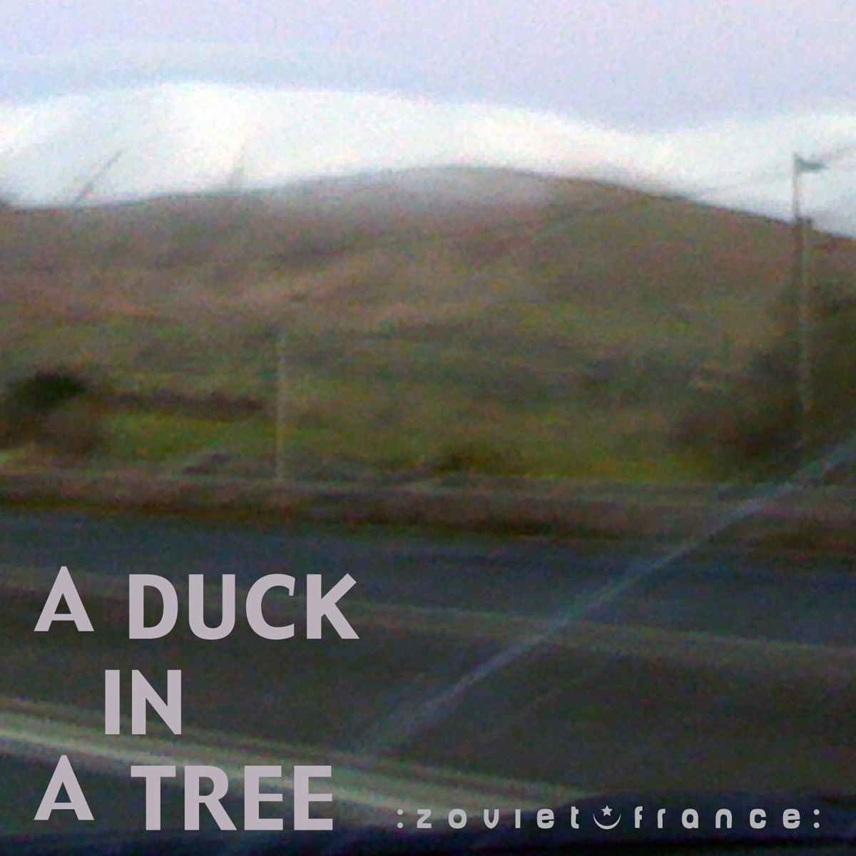 A-Duck-in-a-Tree-2012-12-01-_-Raised-by-Border-Winds-layout-1200.jpg