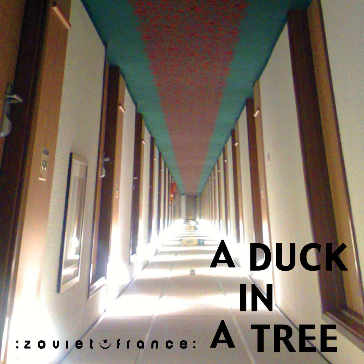 A-Duck-in-a-Tree-2013-02-02-_-Rotary-Waves-Formed-from-Silence-layout-1400.jpg