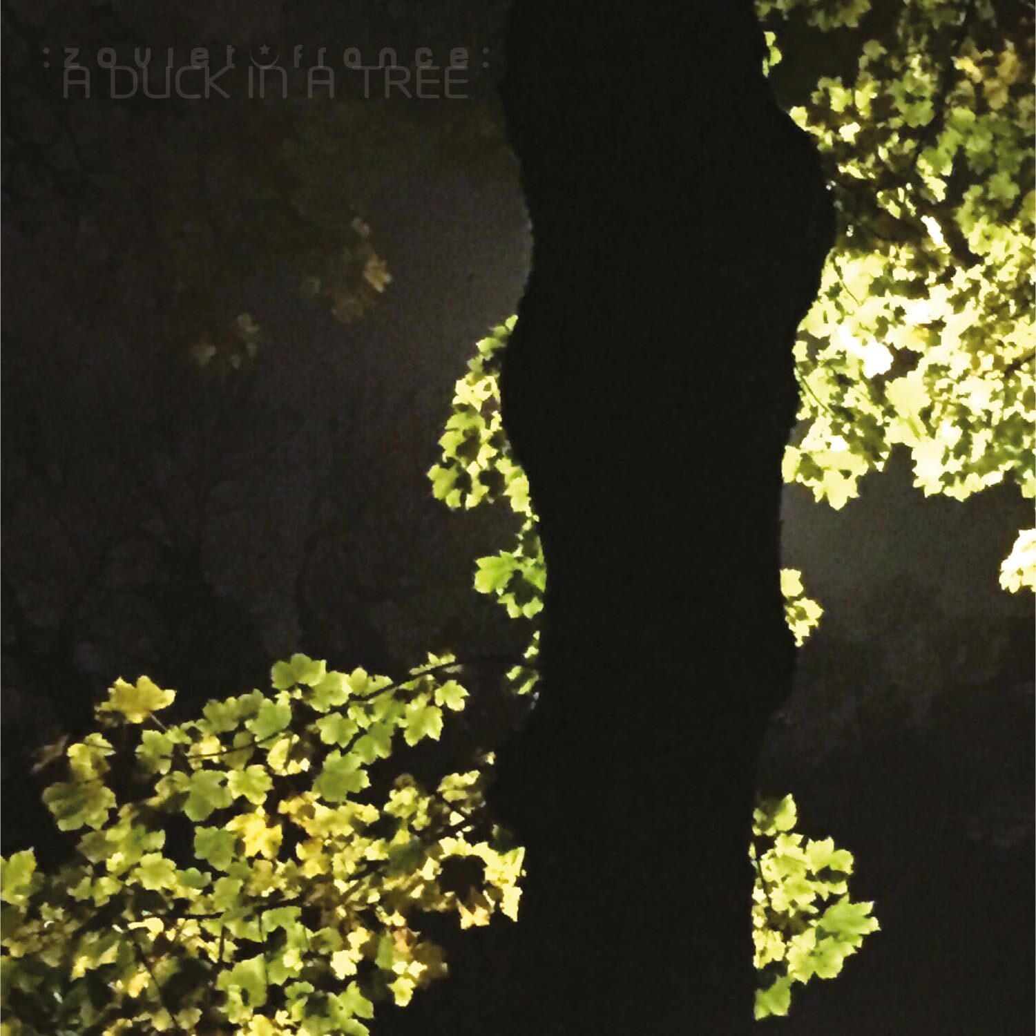 A-Duck-in-a-Tree-2019-11-30-_-Split-Silhouette-cover-1500.jpg