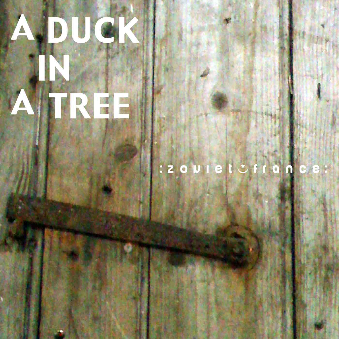 A-Duck-in-a-Tree-2012-07-28-_-A-Knife-Made-of-Salt-layout.jpg