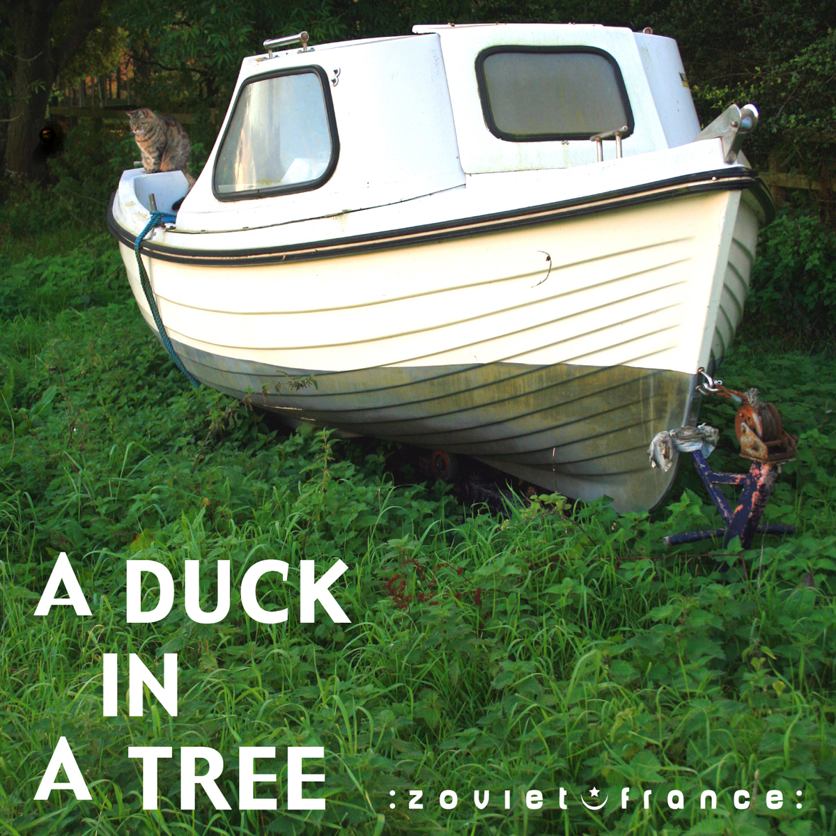 A-Duck-in-a-Tree-2012-09-22-_-Parallel-Activities-in-a-Random-Field-layout-1200.jpg