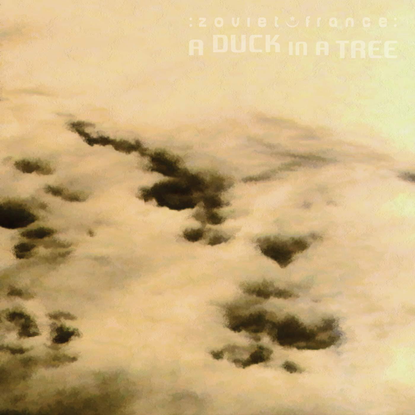 A-Duck-in-a-Tree-2015-03-14-_-Be-Prepare