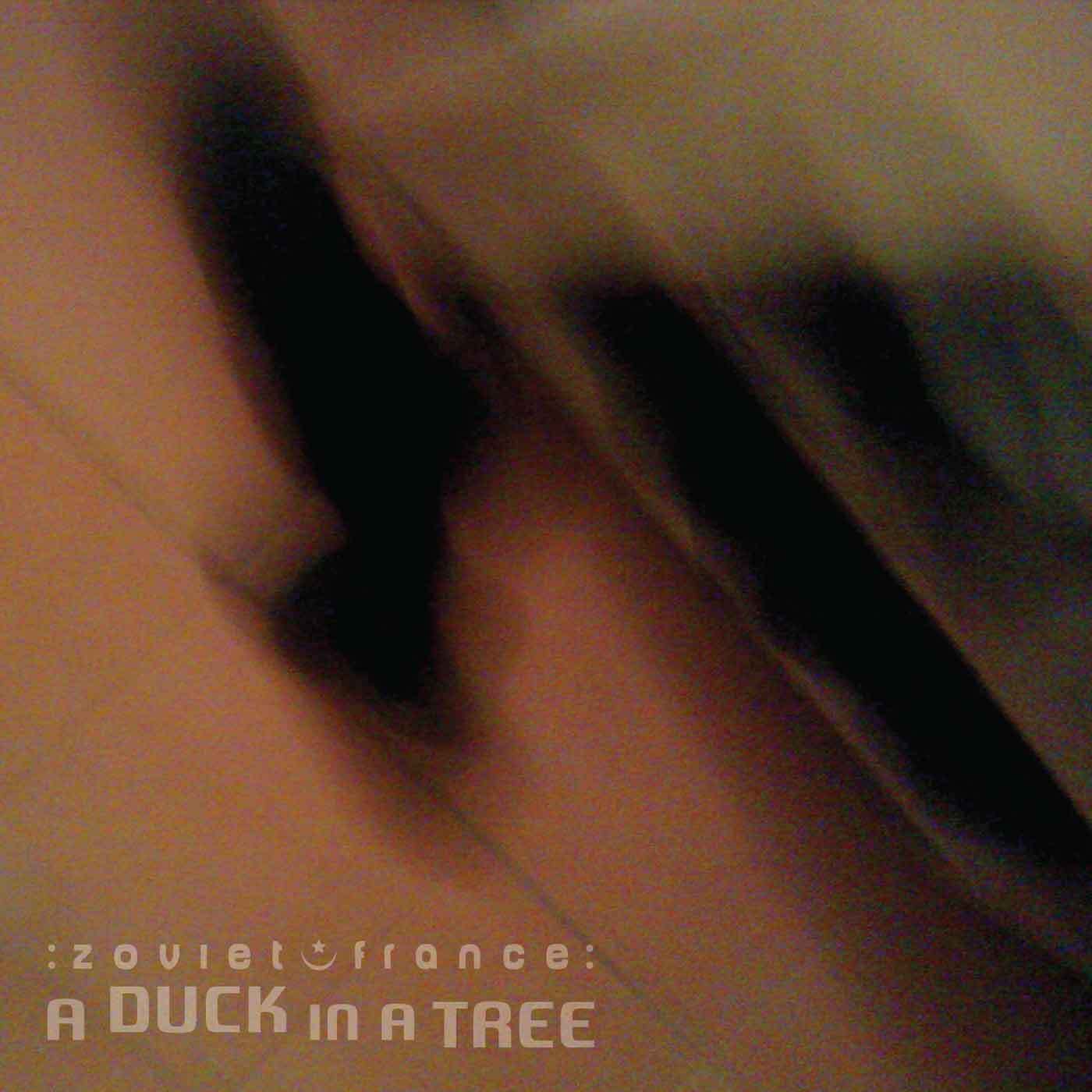 A-Duck-in-a-Tree-2014-10-04-_-To-a-Movin
