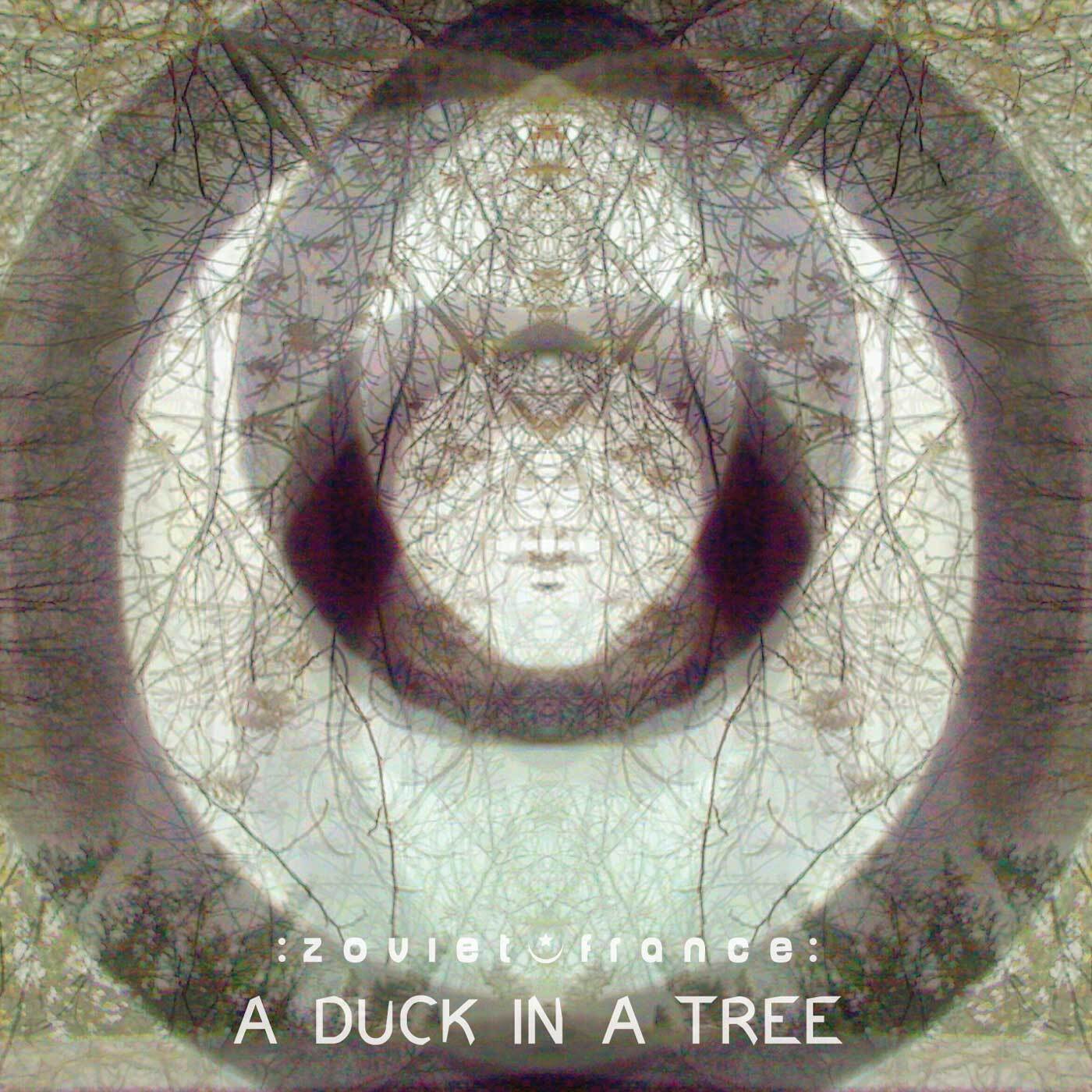 A-Duck-in-a-Tree-2014-03-01-_-The-Ambigu