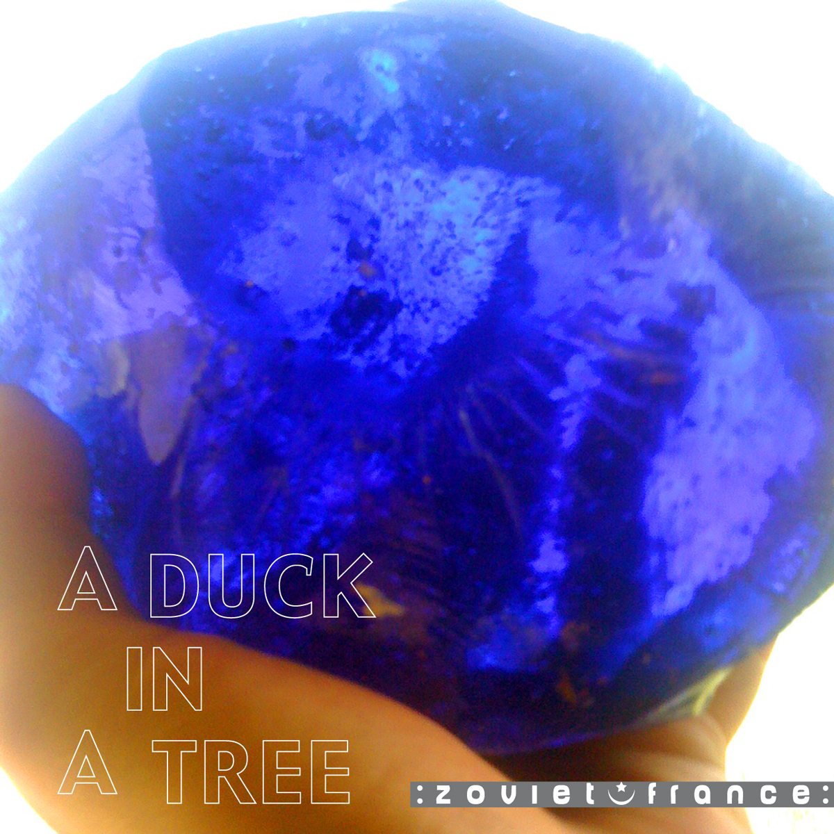 A-Duck-in-a-Tree-2012-08-25-_-Astronomonical-Cosmonetics-layout-1200.jpg