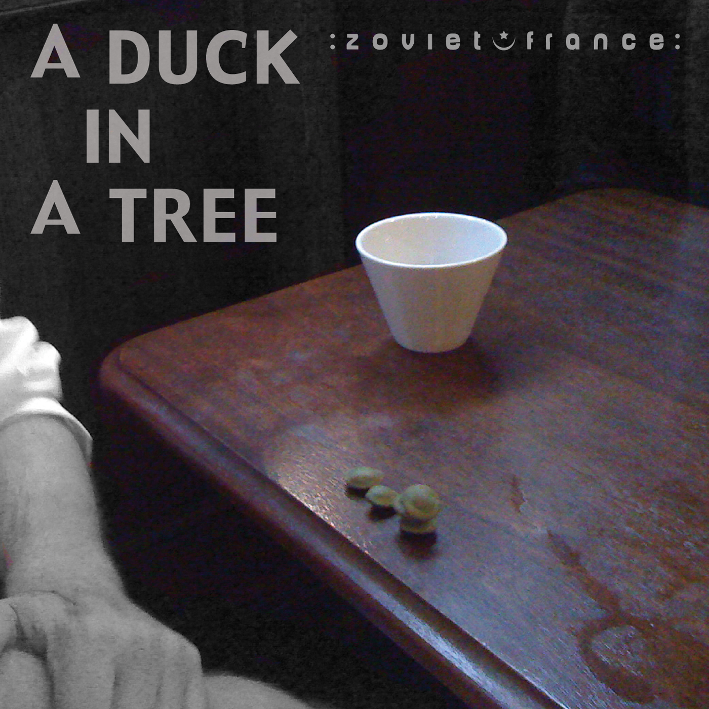 A-Duck-in-a-Tree-2013-01-19-_-Visibly-Naked-to-the-Eye-layout-1400.jpg
