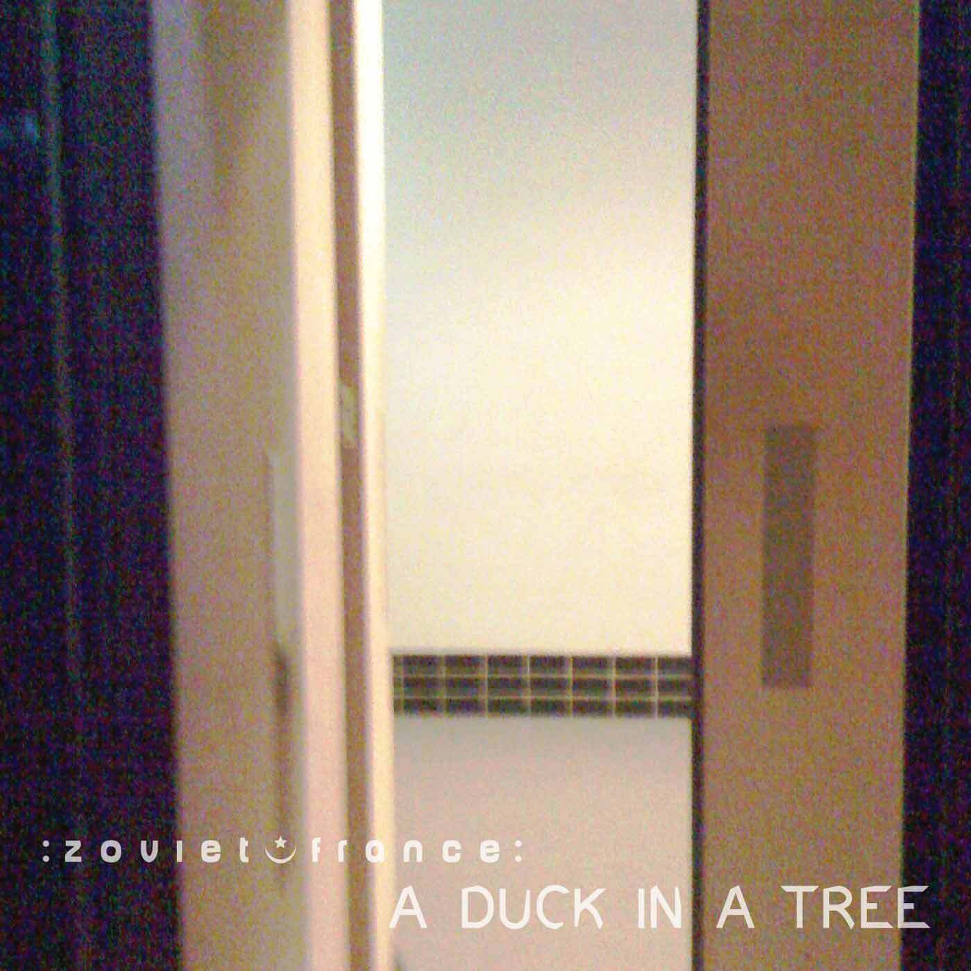 A-Duck-in-a-Tree-2014-06-14-_-Blind-Bit-