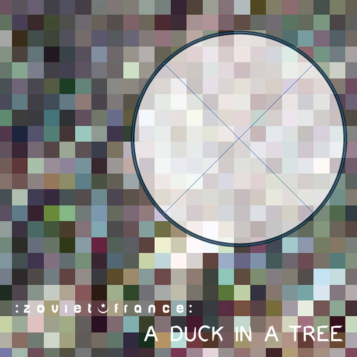 A-Duck-in-a-Tree-2014-05-03-_-Time-in-a-
