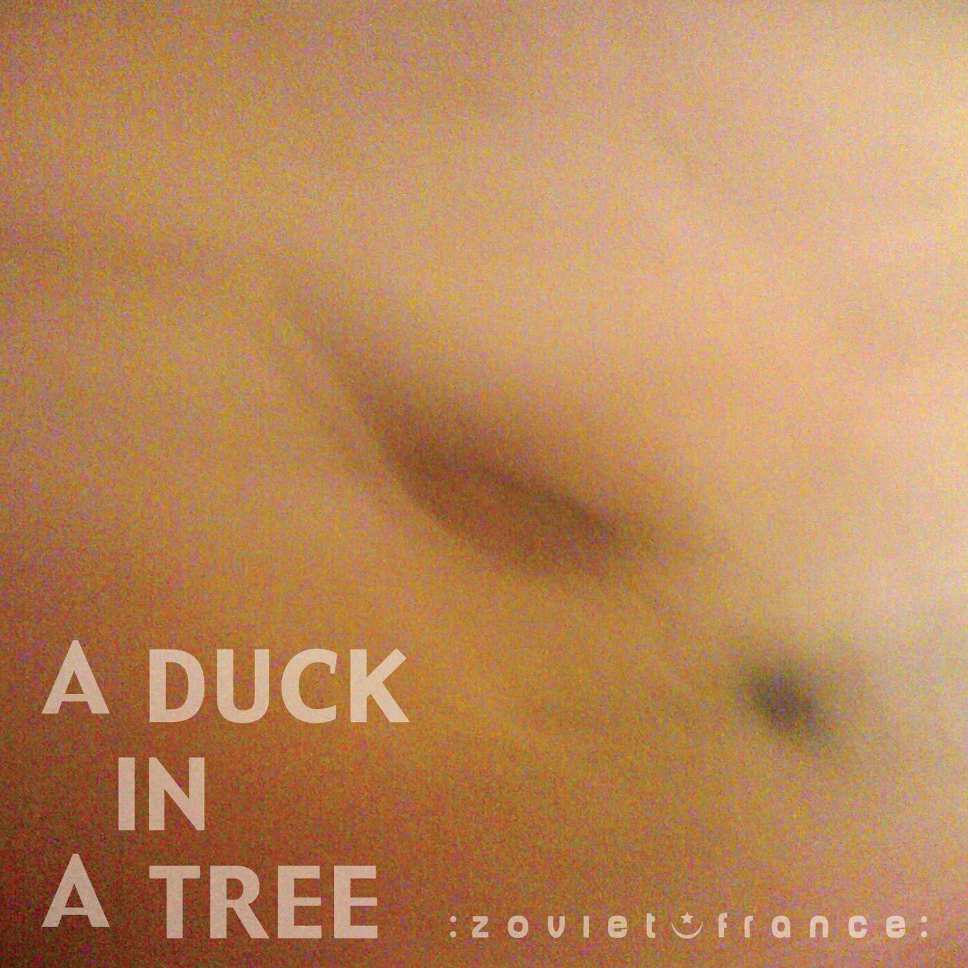 A-Duck-in-a-Tree-2013-03-30-_-This-Firmament-to-Which-We-Owe-Our-Lives-1400.jpg