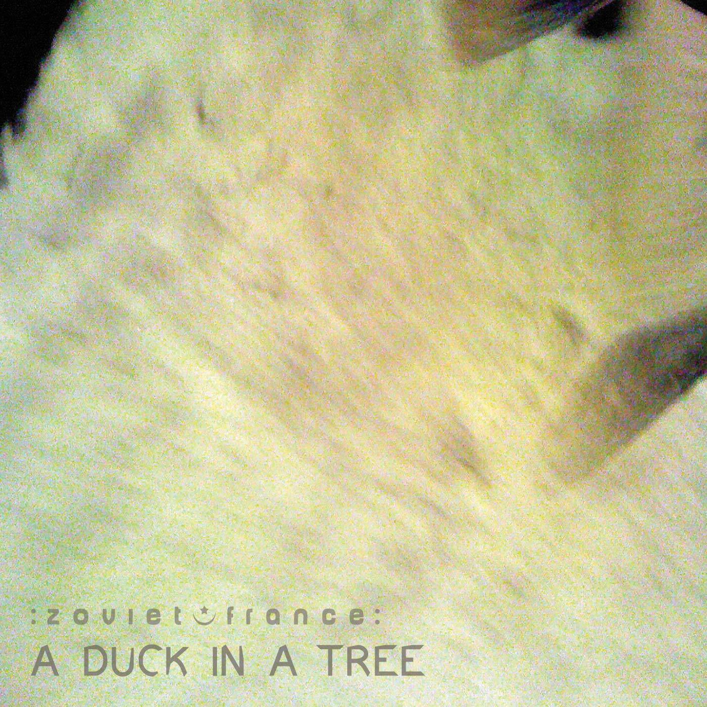 A-Duck-in-a-Tree-2014-03-29-_-The-Square